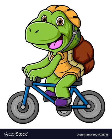 Cute Turtle Cartoon Riding Bicycle Royalty Free Vector Image