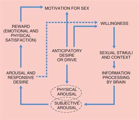 Sexuality And Female Sexual Dysfunction Clinical Tree