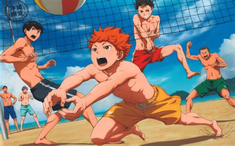 Download Haikyuu Teams At The Beach Wallpaper