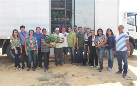 Projeto Pat Entrega Mudas Para Produtores Da Agricultura Familiar