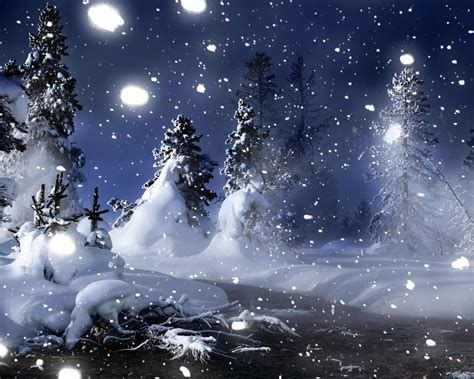 Winter Night in Park 1280 x 1024 Wallpaper