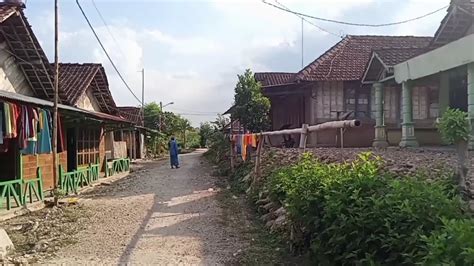 Suasana Kehidupan Suku Jawa Di Kampung Pedalaman Yang Tenang Dan Damai