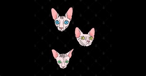 Sphynx Cats Naked Cats Sphinx Sticker TeePublic