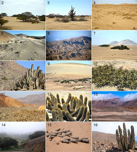 Landscape 95 4d, Desert Landscape Types Examples, Desert Landscape ...