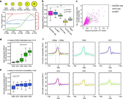 Single Cell Analysis Of Both Chromatin Accessibility And Dna