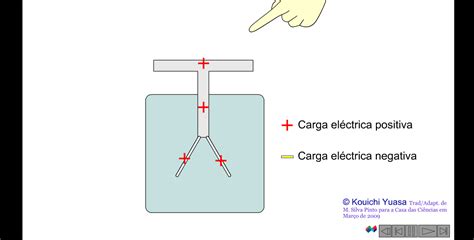 Casa Das Ciências Eletroscópio De Folhas 2