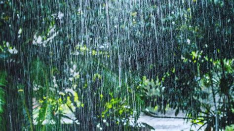 Yellow Alert Kerala Imd Issues ‘yellow Alert For Kerala Rainfall To