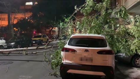 軒嵐諾未到強風狂吹！ 台中路樹倒塌、機車倒一排