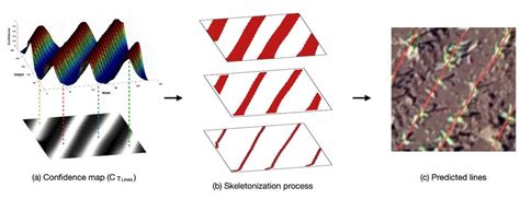 Example of skeletonization process on the confidence map. (a ...