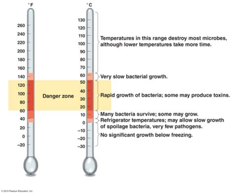 Chapter 6 Microbial Growth Flashcards Quizlet