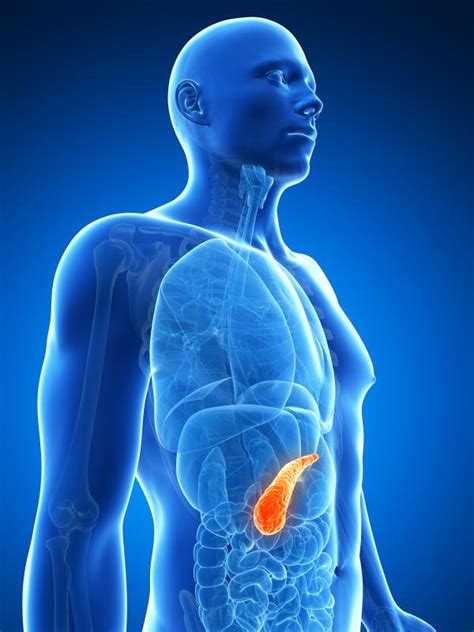 Pancreas Pain Location Diagram