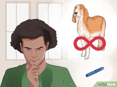 How to Microchip Your Dog: 14 Steps (with Pictures) - wikiHow