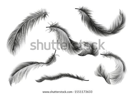 Set Isolated Feathers Vector Illustration Stock Vector Royalty Free