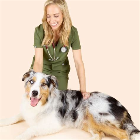 THIS IS DOG HEALTH – DOG by Dr Lisa