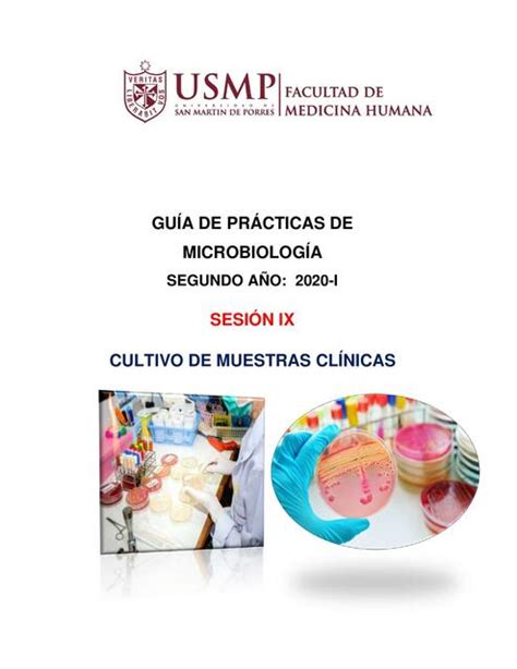 Cultivo De Muestras Clínicas Tiroxina Med Udocz