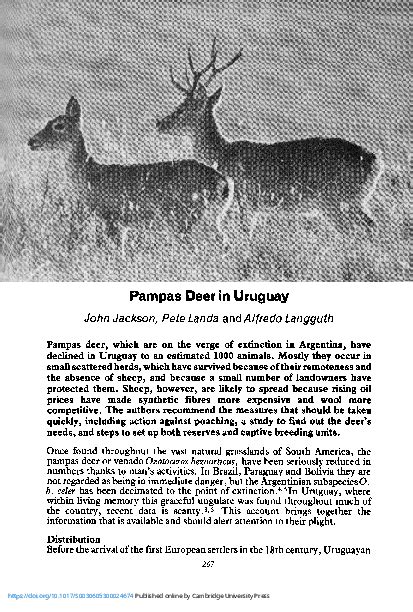 (PDF) Pampas Deer in Uruguay | Alfredo Langguth - Academia.edu