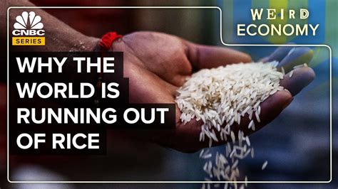 Why Rice Markets Are In Crisis Mode The Global Herald