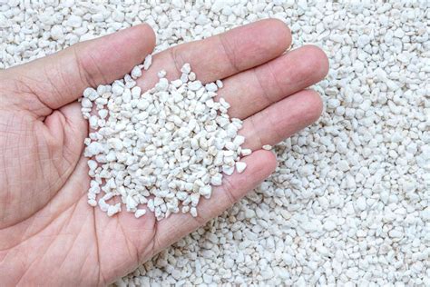 Vermiculite vs. Perlite: What's the Difference?