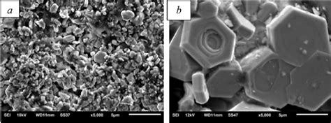 Sem Image Of The Microstructure Of Bafe 12 O 19 Composite Sintered At Download Scientific