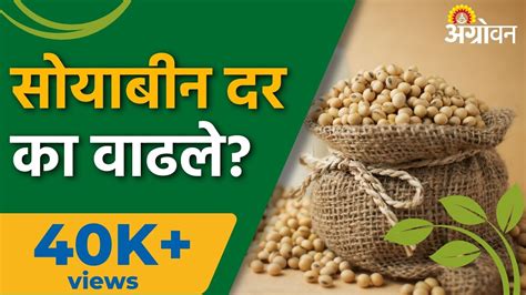 Soybean Rate सोयाबीन दरात किती वाढ झाली Agrowon ॲग्रोवन Youtube