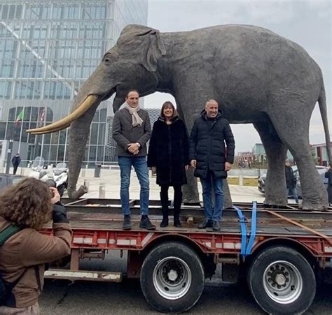 Il Tour Dell Elefante Fritz Si Conclude In Piazza Castello Venerd