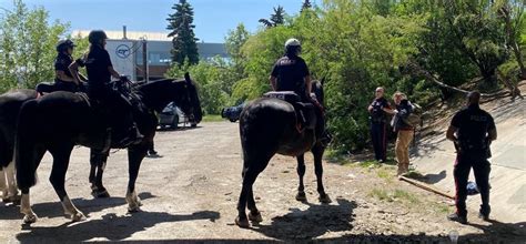 Calgary Police On Twitter Today Our District 6 And Mounted Unit