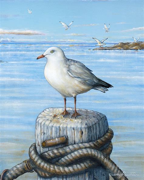 Sea Gull By Owen Pointon Beach Scene Painting Beach Art Painting