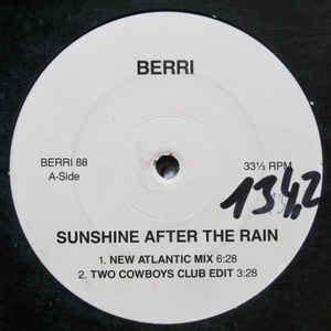 BERRi - Sunshine After The Rain (1995, Vinyl) | Discogs