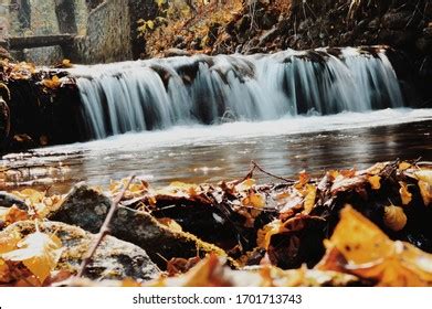 15 Dachigam National Park Stock Photos, Images & Photography | Shutterstock