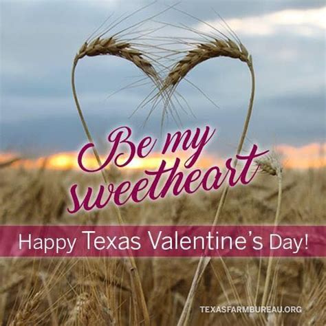 Happy Texas Valentines Day Happy Valentines Day Texas Texas Farm