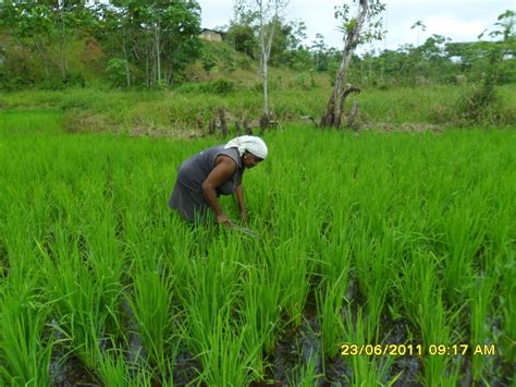 Escuela De Agricultura EcolÓgica Con Énfasis En Asociatividad Apostamos Por La Agroecologia Y