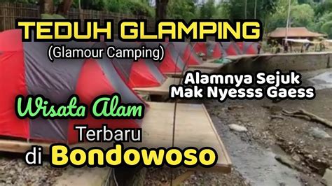 DESTINASI WISATA ALAM BARU TEDUH GLAMPING SUMBER WRINGIN BONDOWOSO