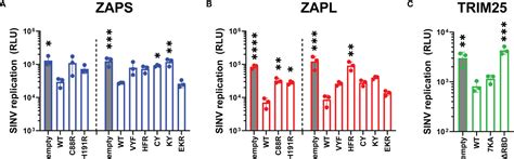 Frontiers The Role Of Zap And Trim25 Rna Binding In Restricting Viral