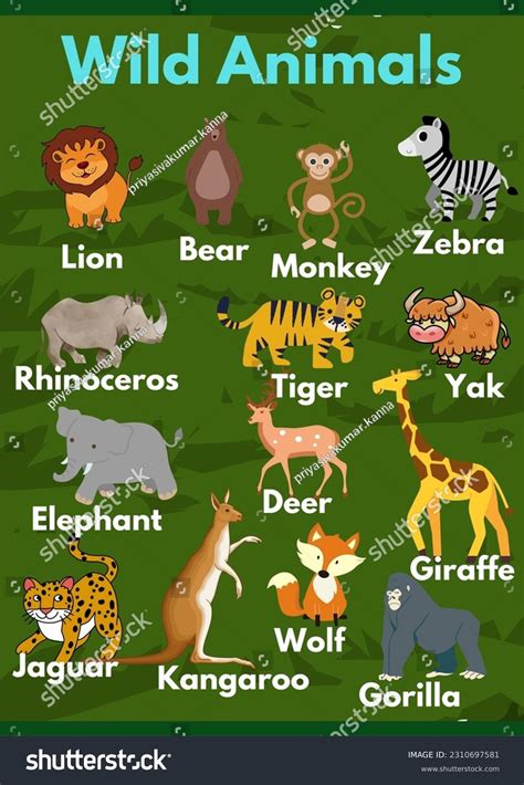 Wild Animals Different Wild Animals Poster Stock Vector (Royalty Free ...