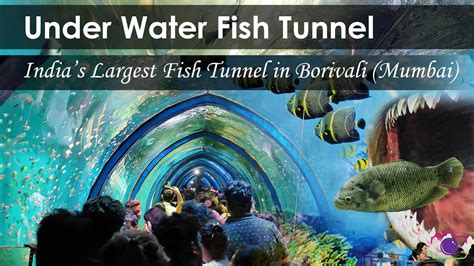 Under Water Fish Tunnel In Borivali Mumbai Indias Largest Fish