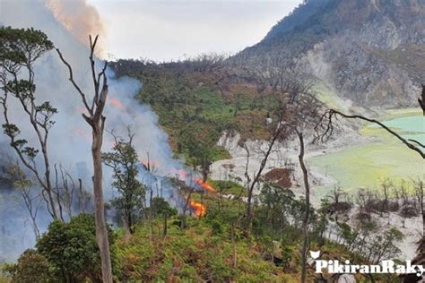 Kebakaran Di Kawah Putih Diduga Akibat Puntung Rokok