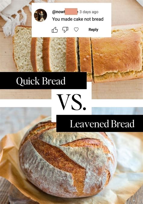 Bread Rise FAQs: Quick Breads vs. Yeast-Leavened Breads | Elizabeth Rider