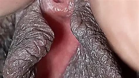 Nahaufnahme Fingern Und Hardcore Muschi Ficken F R Gro Es Saftiges Fettes Arsch Wei Es