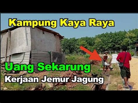 Kejadian Langka Semua Jadi Kaya Kampung Kaya Raya Miliarder Tuban