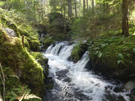 Schisshyttan Jag Vandrar Genom Vacker Natur Reser I Tiden