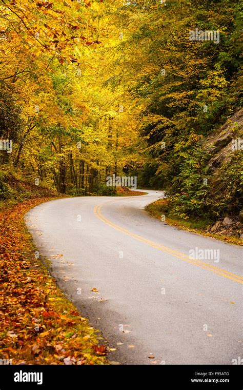 Skyline Drive Peak Foliage 2025 Hedda Eachelle