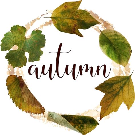 Premium Vector | Autumn leaves in vector design. november. fall ...