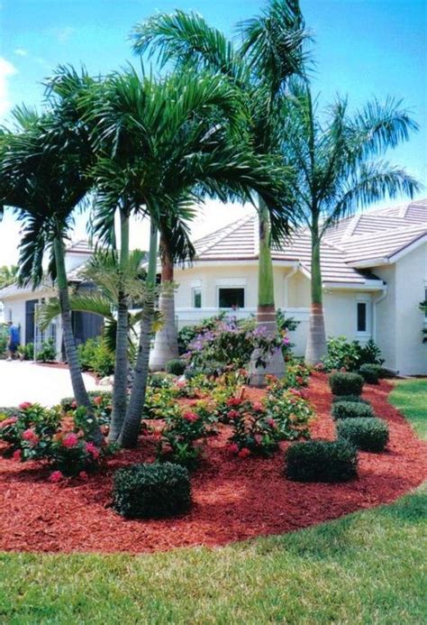 Backyard Landscaping Ideas With Palm Trees | Landscaping