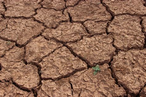 Impactos do El Niño na economia Jornal Empresas Negócios