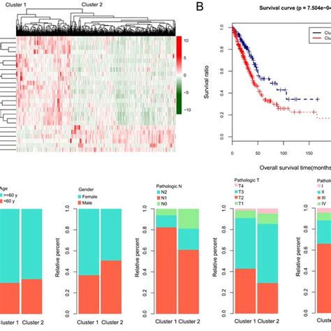 Identification Of Different Subtypes Based On Immune Stemness Genes