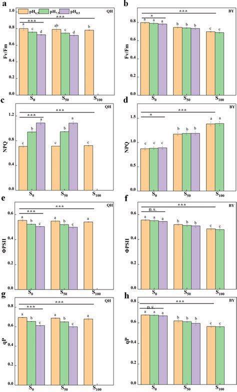 Chlorophyll Fluorescence Parameters Of Qinghua Qh And Biyu By Under