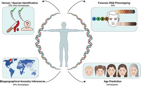 Frontiers Editorial Current And Emerging Trends In Human