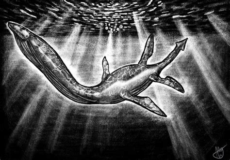 Elasmosaurus Sketch by TheCapricaSix on DeviantArt