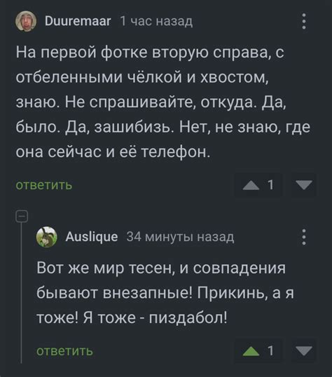 Мир тесен | Пикабу