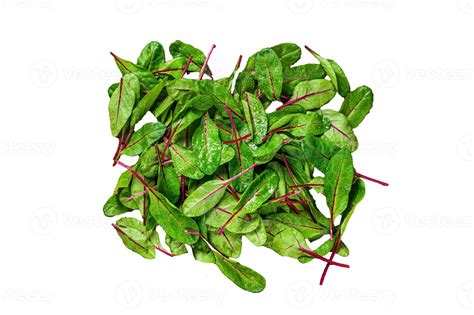 Fresh raw chard leaves, mangold, swiss chard on a wooden kitchen table